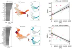 The role of CD4+ T cells in controlling Mycobacterium tuberculosis progression