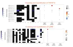 Detect novel differentially expressed isoforms